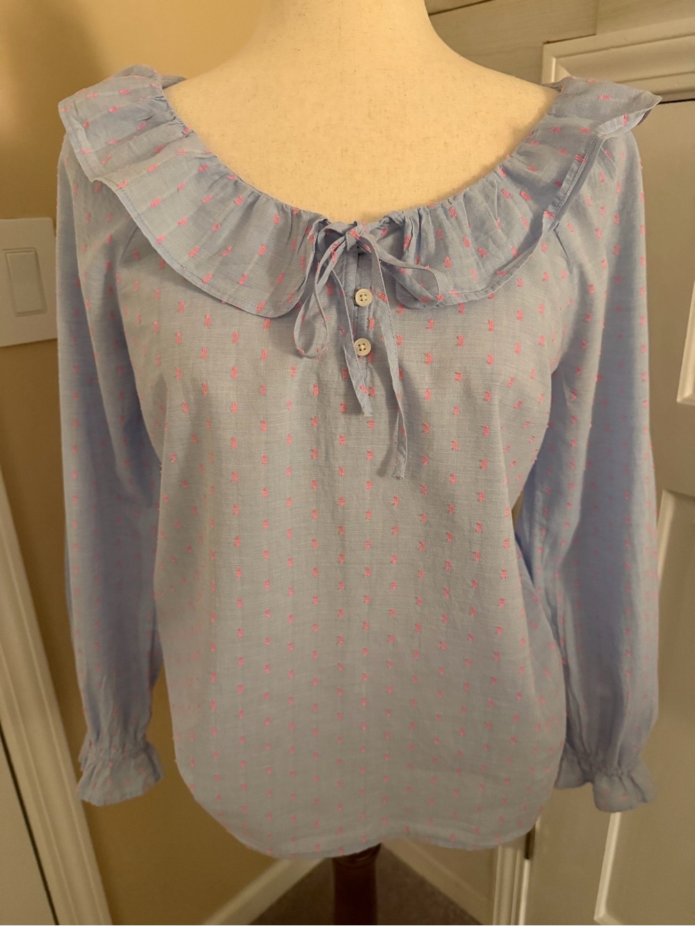 J. Crew Light Blue Long-Sleeve Ruffle Collar Top with Pink Dot Embroidery